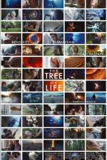 Watch The Tree of Life Merdb