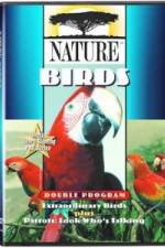 Watch PBS Nature - Extraordinary Birds Merdb