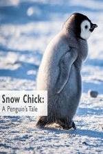 Watch Snow Chick: A Penguin's Tale Merdb
