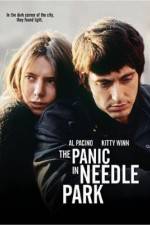 Watch The Panic in Needle Park Merdb