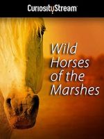 Watch Wild Horses of the Marshes Merdb
