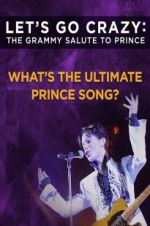 Watch Let\'s Go Crazy: The Grammy Salute to Prince Merdb