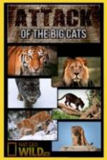Watch National Geographic Attack Of The Big Cats Merdb