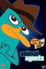 Watch Phineas And Ferb Animal Agents Merdb