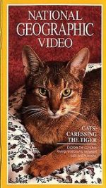 Watch Cats: Caressing the Tiger Merdb