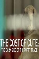 Watch The Cost of Cute: The Dark Side of the Puppy Trade Merdb