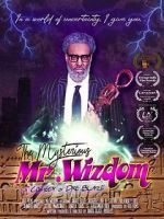 Watch The Mysterious Mr. Wizdom Merdb