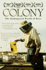 Watch Colony Merdb