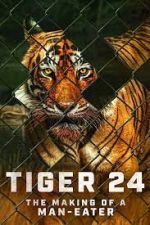 Watch Tiger 24 Merdb