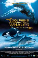Watch Dolphins and Whales 3D Tribes of the Ocean Merdb