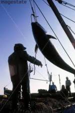 Watch National Geographic: Cheating Death Tuna Cowboys Merdb
