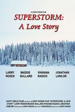 Watch Superstorm: A Love Story Merdb