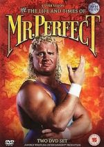 Watch The Life and Times of Mr. Perfect Merdb