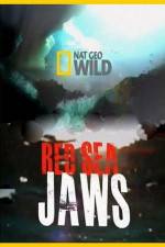 Watch National Geographic Red Sea Jaws Merdb