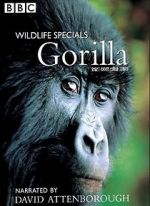 Watch Gorilla Revisited with David Attenborough Merdb
