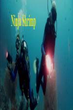 Watch National Geographic Ninja Shrimp Merdb