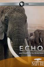 Watch Echo: An Elephant to Remember Merdb
