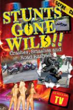 Watch Stunts Gone Wild: Crashes, Smashes & Road Rashes! Merdb
