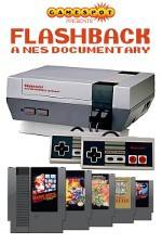 Watch Flashback NES Documentary Merdb