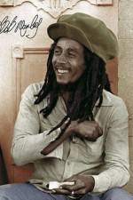 Watch Bob Marley and the Wailers: The Bob Marley Story Merdb