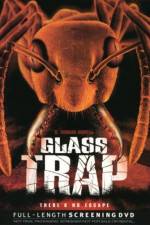 Watch Glass Trap Merdb