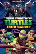 Watch Teenage Mutant Ninja Turtles: Enter Shredder Merdb