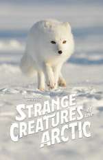 Watch Strange Creatures of the Arctic (TV Special 2022) Merdb