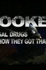 Watch Hooked: Illegal Drugs & How They Got That Way - LSD - Ecstacy and the Raves Merdb