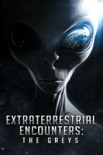 Watch Extraterrestrial Encounters: The Greys Merdb