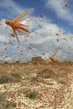 Watch Swarm Chasers: Locusts Merdb