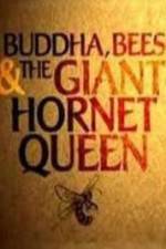 Watch Natural World Buddha Bees and the Giant Hornet Queen Merdb