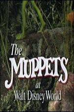 Watch The Muppets at Walt Disney World Merdb