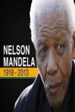 Watch Nelson Mandela: The Final Chapter Merdb