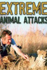 Watch Extreme Animal Attacks Merdb