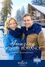 Watch Amazing Winter Romance Merdb