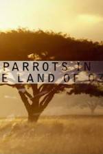 Watch Nature Parrots in the Land of Oz Merdb
