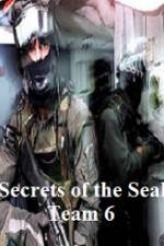 Watch Discovery Channel Secrets of Seal Team 6 Merdb