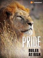 Watch Pride - Ruler\'s at Risk Merdb