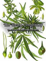 Watch The Hemp Conspiracy: The Most Powerful Plant in the World (Short 2017) Merdb