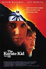 Watch The Karate Kid, Part III Merdb