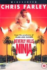 Watch Beverly Hills Ninja Merdb