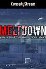 Watch Meltdown: Analyzing the Radiation Leaks Merdb