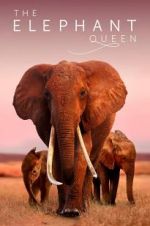 Watch The Elephant Queen 0123movies