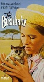 Watch The Bushbaby Merdb