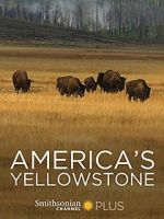 Watch America\'s Yellowstone Merdb