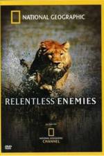 Watch Relentless Enemies Merdb