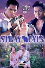 Watch Stray Cats Merdb