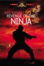 Watch Revenge of the Ninja Merdb