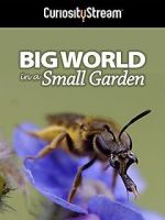 Watch Big World in a Small Garden (TV Short 2016) Merdb