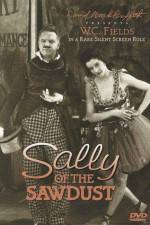 Watch Sally of the Sawdust Merdb